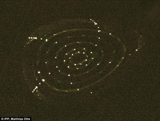 該系統(tǒng)初次測試時的圖像，顯示了熒光分支閉合的過程，使嵌套的磁場表面變得可見。